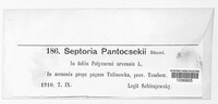 Septoria pantocsekii image